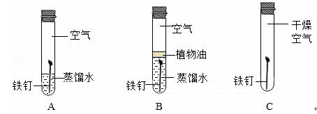 实验图